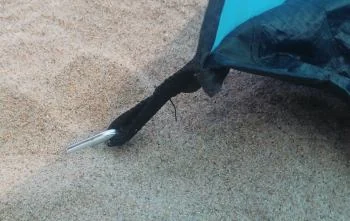 Strandmuschel mit Heringen